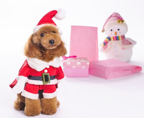 S4R-Dog Clothes Christmas Sweatshirt Clothes